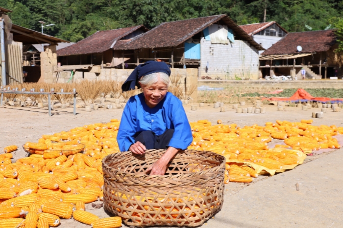 La beauté de la gentillesse des habitants de Cao Bang